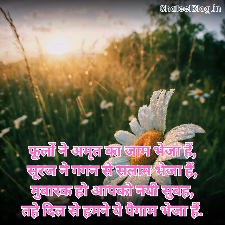 Good morning quotes image download