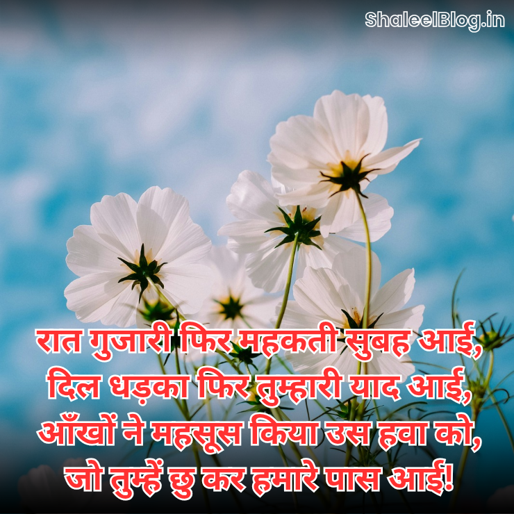 Good morning shayari for friends