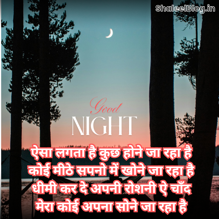 Good Night Shayari in Hindi