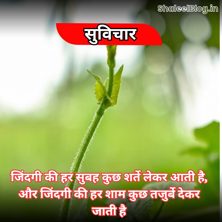 Motivational Quotes in Hindi